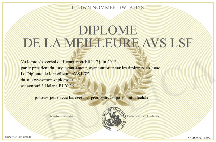 diplome universitaire lsf